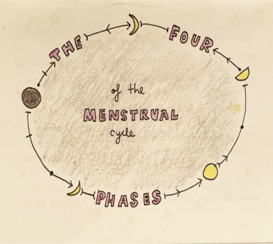 [Product_type] - The Four Menstrual Phases - agnes-and-edie.myshopify.com
