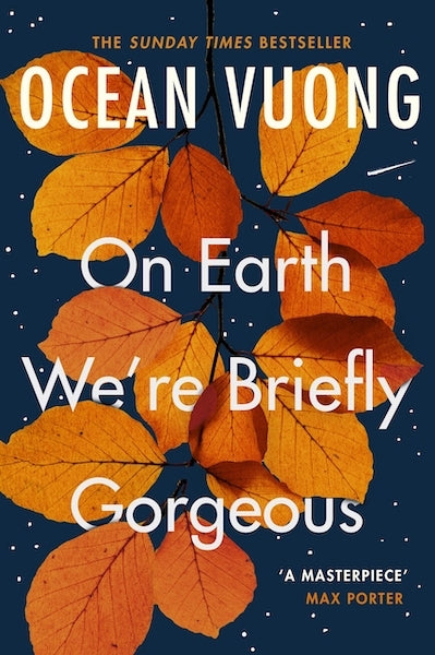 On Earth We're Briefly Gorgeous Review