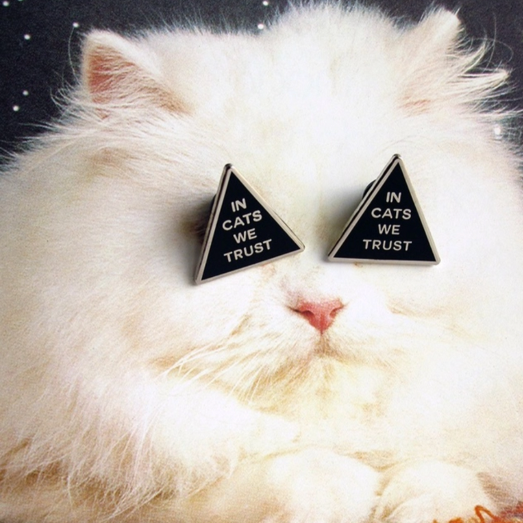 In Cats We Trust Pin
